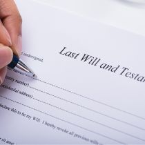 Extra Square Imagery For Q3 Newsletter Feature 3 Will Testament