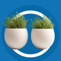 Understanding the Two Pot Retirement System Feature