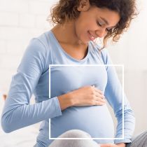 Lts Feb 2020 Newsletter Banner Images Sized For Website